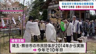 震災復興支援の“熊谷桜”　宮城・気仙沼市で植樹　今回で目標の１０００本に
