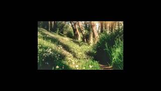 #ambienttypebeat #clamscasinotypebeat #cloudraptypebeat #dreamytypebeat #etherealtypebeat #freebeats