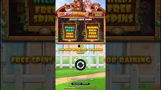 how to win 12,000 at bongobongo bet on new games
