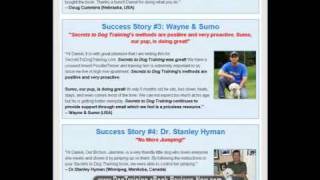 Secrets To Dog Training Review