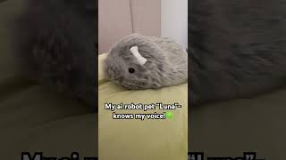 #moflin #pets #petrobot #cuteanimal #ai #myrobotpet #aipets #hamsters #love #モフリン #casio