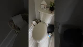 Essential Tool for Hard-to-Reach Cleaning! #cleaning #tool #easytouse #viral