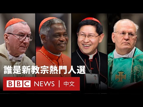 新教宗選戰即將展開 誰將成為下一任教宗？－ BBC News 中文