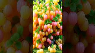 quick technique to propagate and grow goldenberry fruit trees #garden #shorts