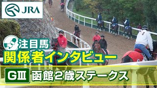 【注目馬 関係者インタビュー】2025年 函館2歳ステークス｜JRA公式
