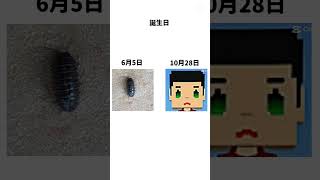 比較動画 #ばずれ #ningenって美味しいよね