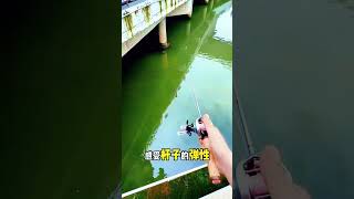 2024路亞小烏龜水滴輪玩彈射手法.水上高爾夫.路亞假餌新手.不是中魚就是掛底.留影不留魚一律車下水