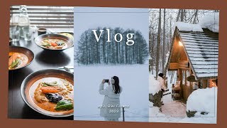 【北海道VLOG】不自驾 美瑛富良野交通 | 🌲圣诞树、森林精灵露台 | 🍛汤咖喱、美瑛高人气美食 | ep3