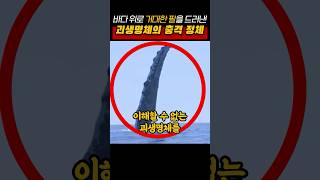 바다 위로 거대한 팔을 드러낸 괴생명체의 충격 정체