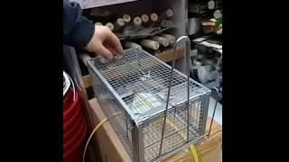 財記五金農具 踏板式老鼠籠操作示範(一)