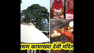 थावे मंदिर की अद्भुत कहानी | Thawe wali mata ki kahani Gopalganj |Rahasu bhagat | thave durga temple