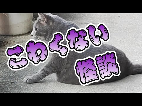 玩具幽霊と小さな死神