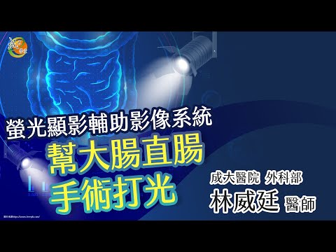 【成大醫院】成大e學堂【ICG螢光顯影影像輔助系統運用在大腸直腸癌手術】外科部 林威廷醫師