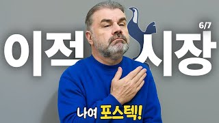 6/7 이적시장 주요 이슈 "완벽" 정리 /[오피셜] 포스테코글루 경질