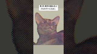 樹脂版でフルカラー印刷！３色分解の技術に挑む！ #letterpress #art #活版印刷 #cat #printing
