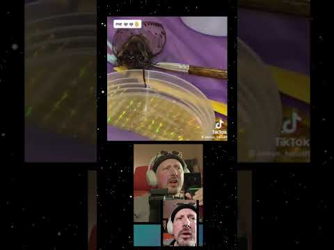 Bug!
