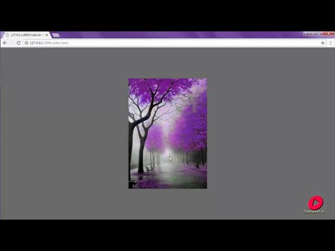 Image Hover Effect Using HTML and CSS