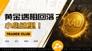 多头回来了？黄金冲高！｜黄金爆发前兆？｜XAUUSD分析｜外汇分析