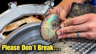 Are There CRYSTALS Inside My Fragile Ammonite Fossil?!