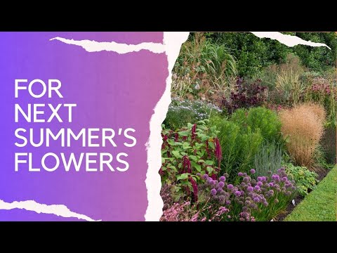 What to do in your garden borders now... key jobs for autumn (fall) and spring