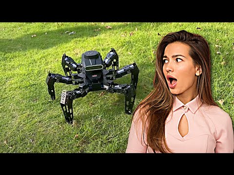 AI Powered Robots For Everyday Use | Muto S2 Hexapod