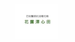 《自然療法身心整合健康講座巡禮二：誰是翁月華》小苗子ｘ 自然醫道 🌱☘️💐🌺