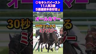 【オールカマー2024】30秒でわかるミクソロジー