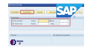 Todo sobre jobs en SAP