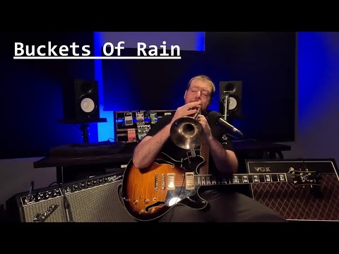 Buckets Of Rain - Bob Dylan | Trumpet Guitar Loop Cover