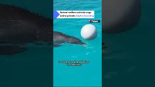Animal welfare group calls for end to dolphin breeding
