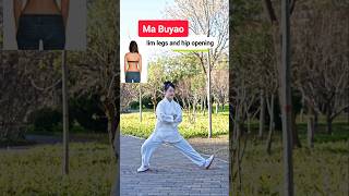 Tai Chi Exercises For Legs and Hips #taichi #martialarts #qigong