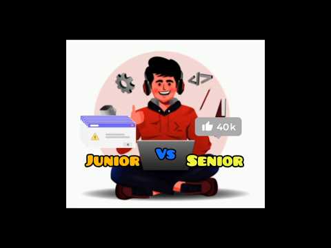 Junior vs Senior Programmer: The Differences Explained #junior #senior #programmer