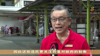 【新加坡大选】陈如斯：团队背景多元 有助了解选民诉求