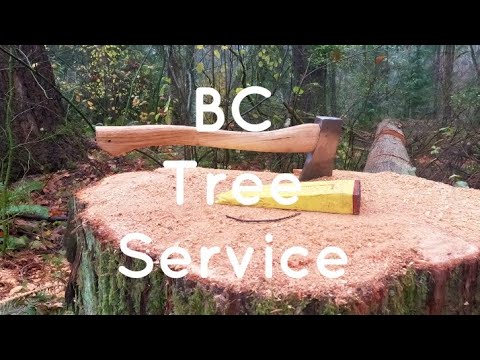 Some clips from last week