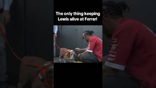 Bro is going through it recently 😭 #lewishamilton #ferrarif1 #ferrari #viral #f1 #f1media #f1memes