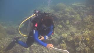 Coral Finder  tips tricks and accessories