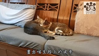 喵生的姊妹情有點薄弱 #扯後腿