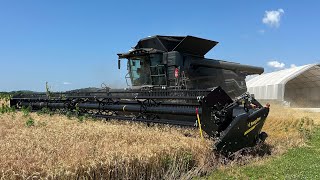 First Day Harvesting Wheat with New Equipment
