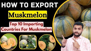 How To Export Muskmelon From India || kharabooja Export || Procedure For Muskmelon Export #export