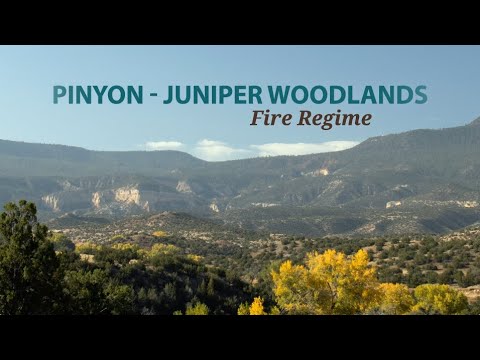 Pinyon Juniper Woodlands Fire Regime