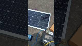 Loom solar panel Shark 55 watt price 2,750