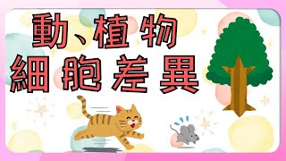 【小白懂生物】動、植物細胞差異！原來我們大不同  The Difference between Animals Cells & Plants Cells: What a big difference!