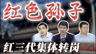 【“红三代”集体退出地方党政，转岗国企】邓小平孙子邓卓棣，陈云外孙董巍，叶剑英曾孙叶仲豪；邓卓棣抽身广西，避开了蓝天立有色金属倒查十年；叶仲豪曾与胡春华共同献花