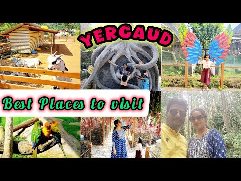 🌴🐠 Best Places to visit in yercaud /Guide to explore places in yercaud