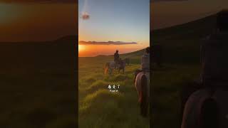 夏威夷跟团旅行 如果不是跟团去夏威夷玩了8天，我都不知道，檀香山原来是我们中国人取的名字！#美国旅游#出国旅游#夏威夷#跟团游#旅游推荐官