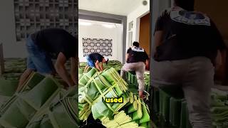 Why Banana Leaves Are Sold Instead of Bananas in Indonesia #BananaLeaves