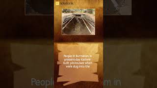 CBSE Class 6 Social Science History - From Hunting Gathering to Growing Food | Learn with Notebook!