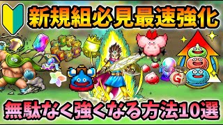 【ドラクエタクト】アニバから始めた人でも間に合う爆速育成方法10選