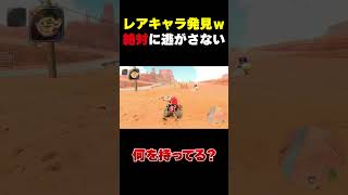 【マリオカートワールド】珍キャラ発見！？何か持って逃げたので轢いてみた結果ｗ