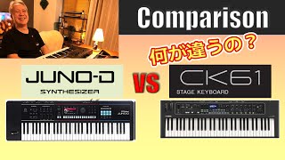 【JUNO-D6 vs CK61】何が違うの？徹底比較🎹✨♪／解説、演奏付 [Comparison Talk & Demo]